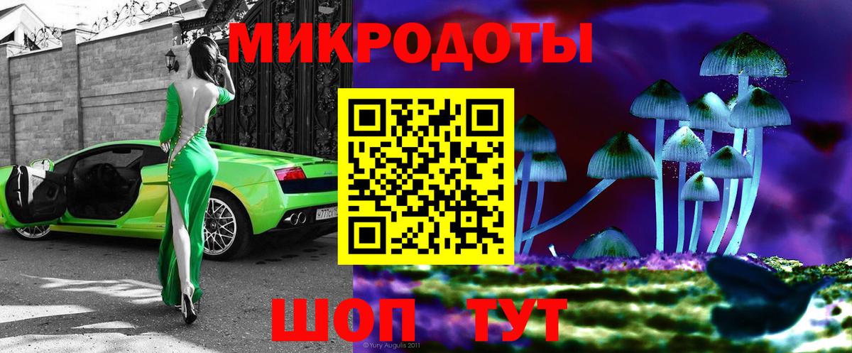 Галлюциногенные грибы Psilocybe Лениногорск